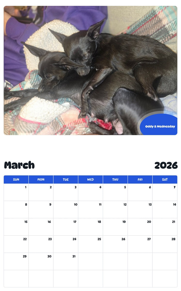 November 2025 - October 2026 Oddy & Wednesday - Pawidols Pet Calendar