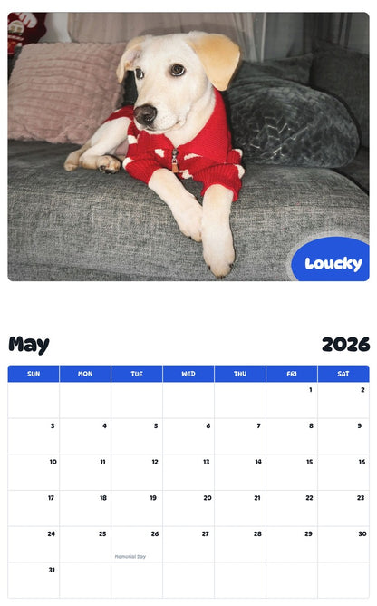 2026 - 2027 Loucky - Pawidols Pet Calendar