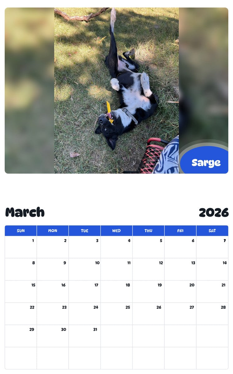 November 2025 - October 2026 Sarge - Pawidols Pet Calendar