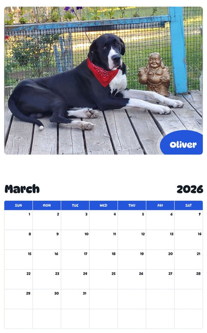 November 2025 - October 2026 Oliver - Pawidols Pet Calendar