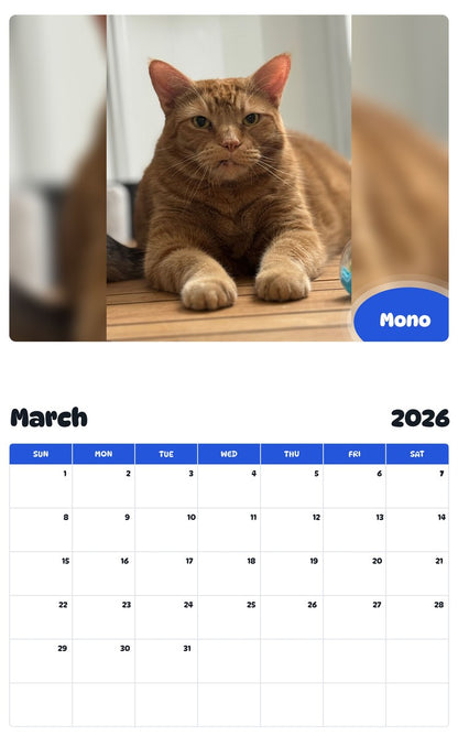 November 2025 - October 2026 Mono - Pawidols Pet Calendar