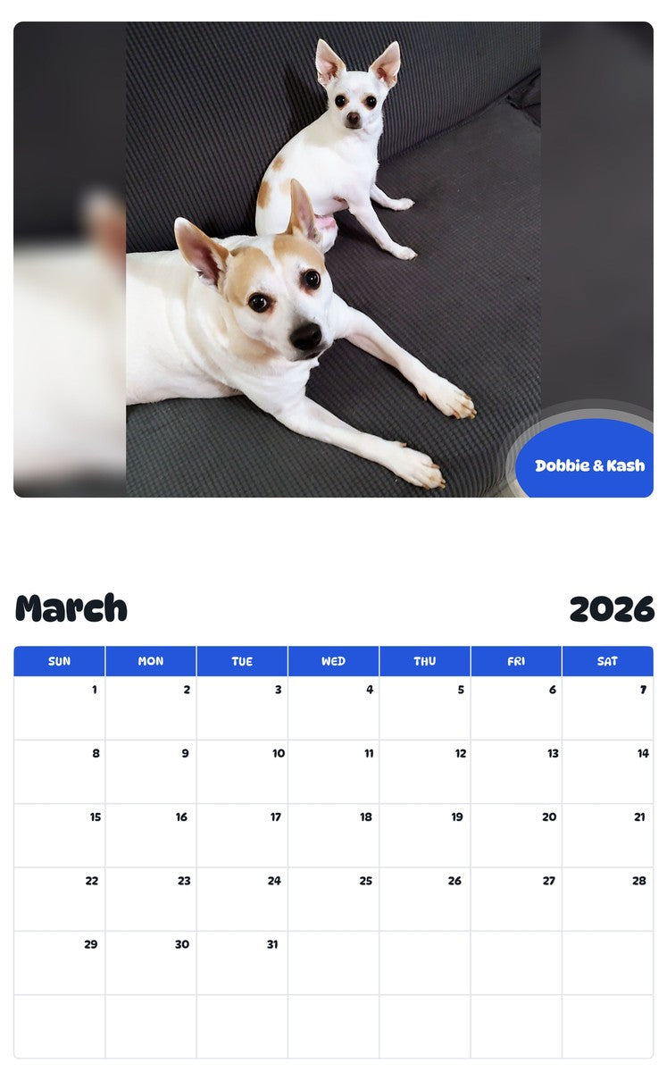 November 2025 - October 2026 Dobbie & Kash - Pawidols Pet Calendar