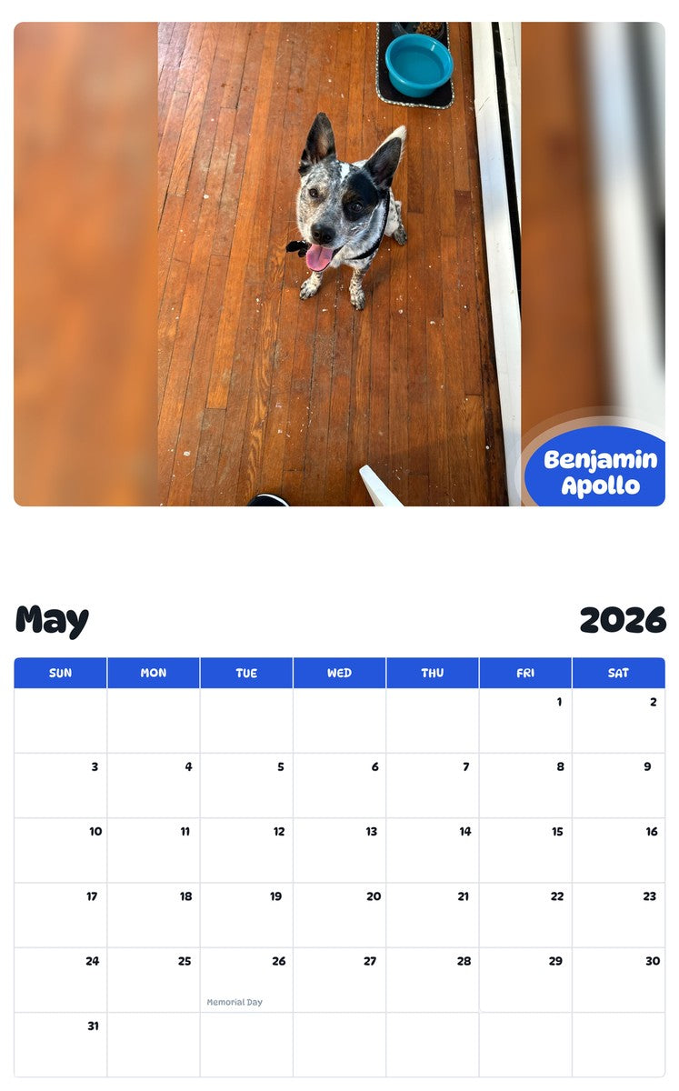 2026 - 2027 Benjamin Apollo - Pawidols Pet Calendar