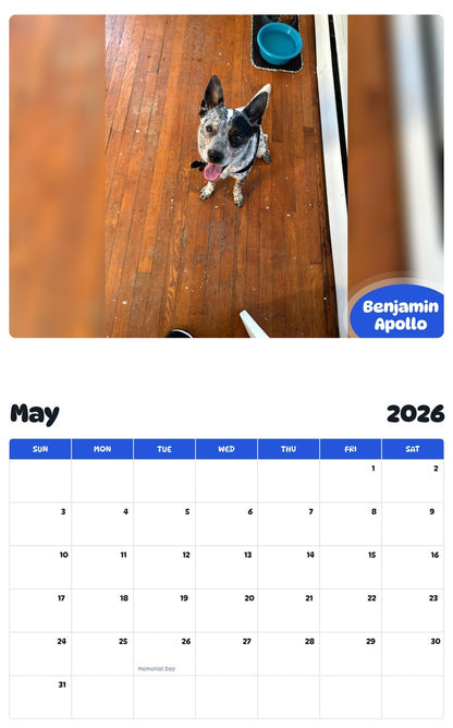 2026 - 2027 Benjamin Apollo - Pawidols Pet Calendar
