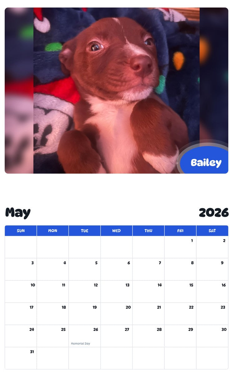 2026 - 2027 Bailey - Pawidols Pet Calendar