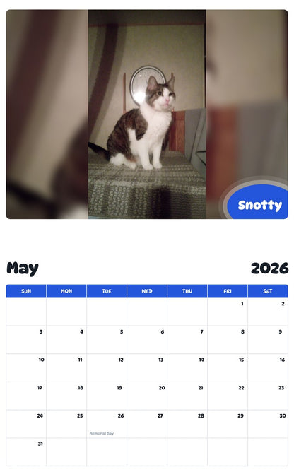 2026 - 2027 Snotty - Pawidols Pet Calendar