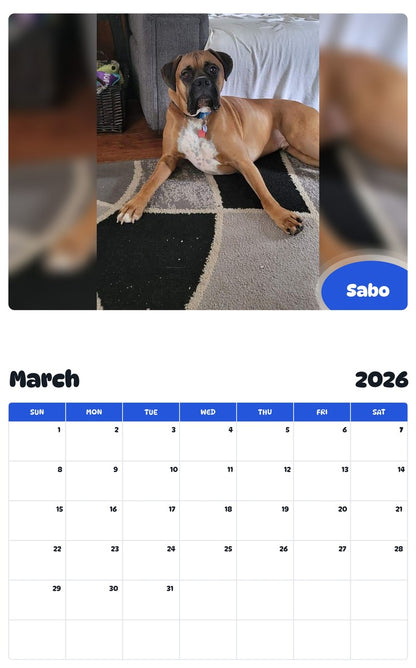 November 2025 - October 2026 Sabo - Pawidols Pet Calendar