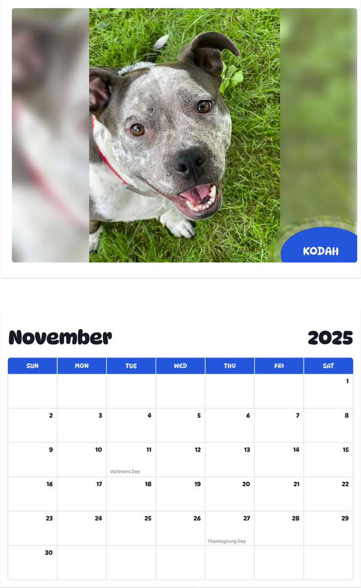 July 2025 - June 2026 Kodah - Pawidols Pet Calendar