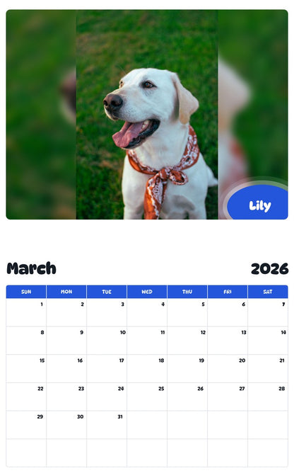 November 2025 - October 2026 Lily - Pawidols Pet Calendar