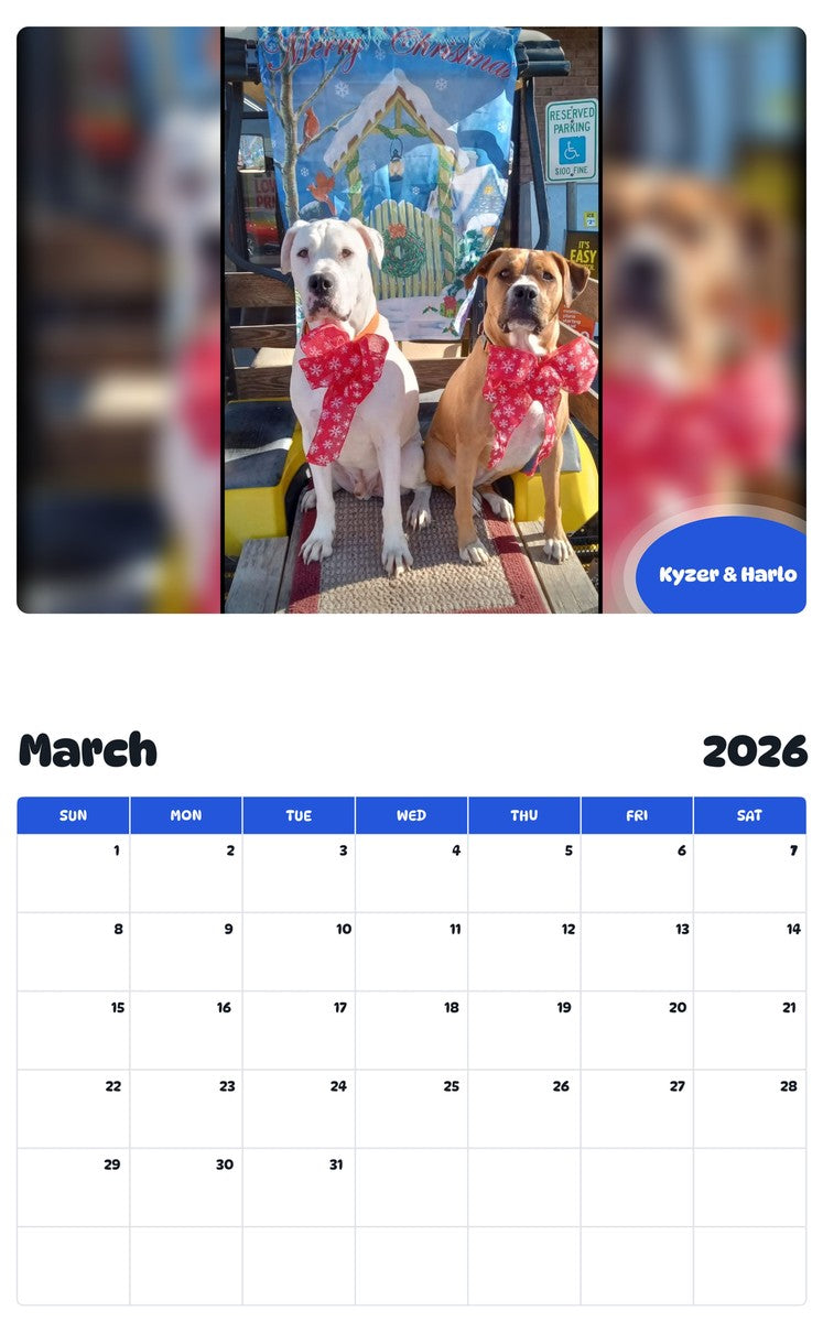 November 2025 - October 2026 Kyzer & Harlo - Pawidols Pet Calendar