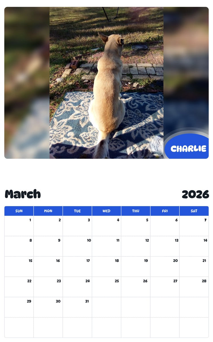 November 2025 - October 2026 CHARLIE - Pawidols Pet Calendar