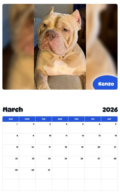 November 2025 - October 2026 Kenzo - Pawidols Pet Calendar