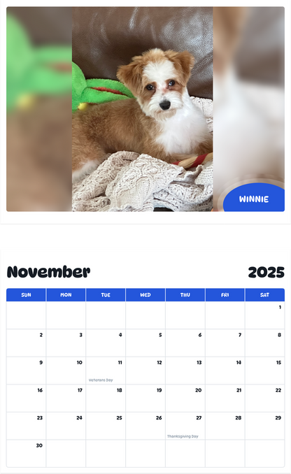 July 2025 - June 2026 Winnie - Pawidols Pet Calendar