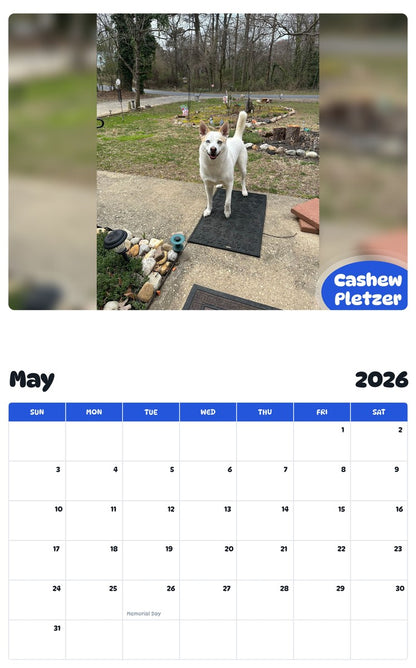 2026 - 2027 Cashew Pletzer - Pawidols Pet Calendar