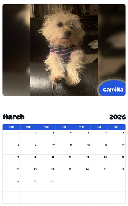 November 2025 - October 2026 Camilla - Pawidols Pet Calendar