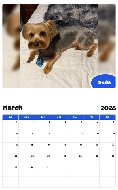 November 2025 - October 2026 Dude - Pawidols Pet Calendar
