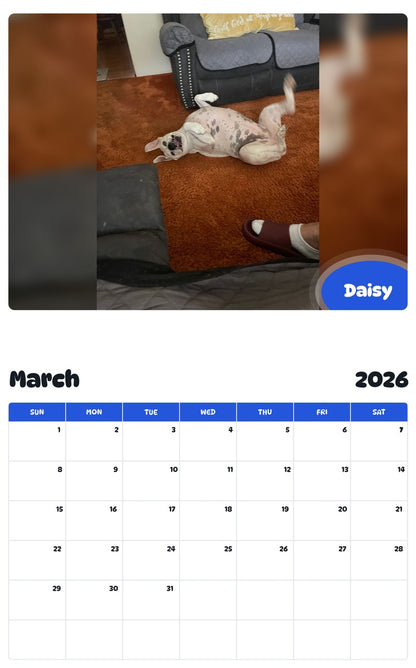 November 2025 - October 2026 Daisy - Pawidols Pet Calendar