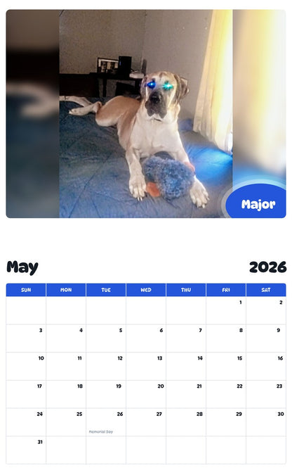 2026 - 2027 Major - Pawidols Pet Calendar