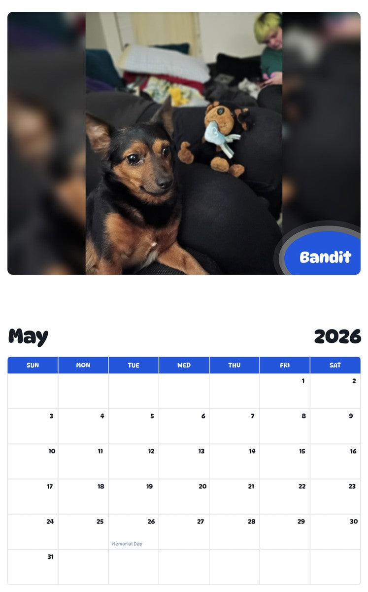 2026 - 2027 Bandit - Pawidols Pet Calendar