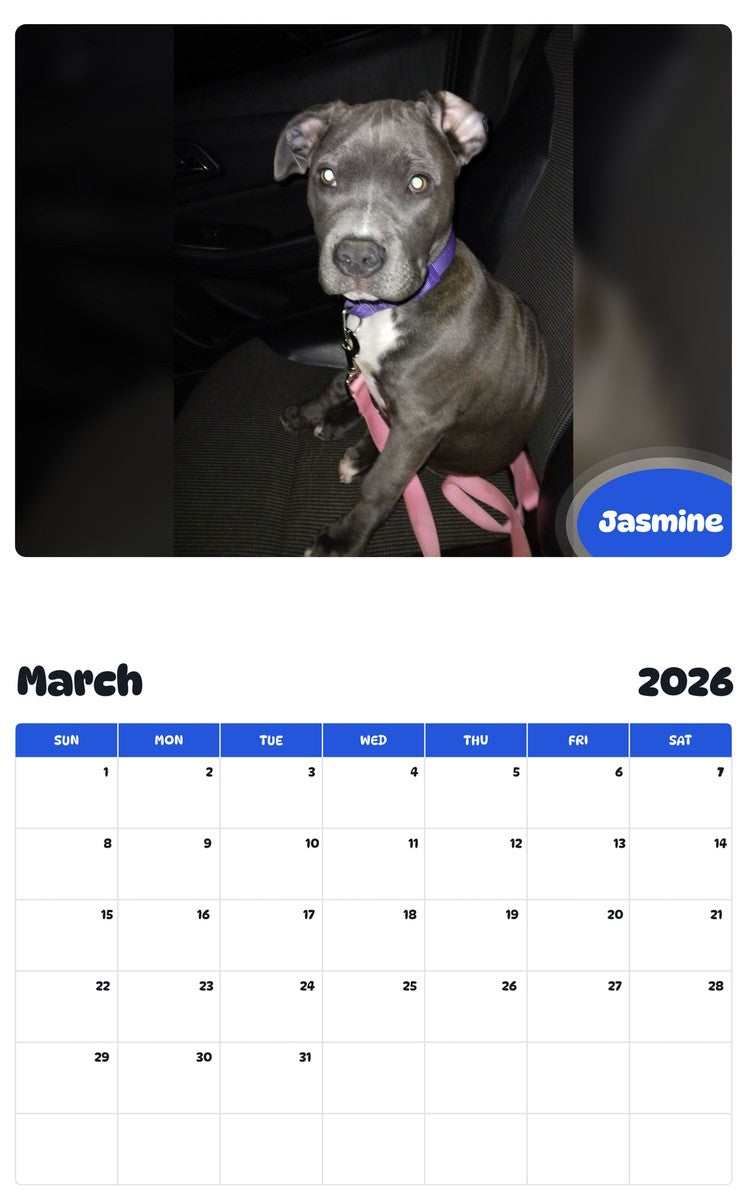 November 2025 - October 2026 Jasmine - Pawidols Pet Calendar