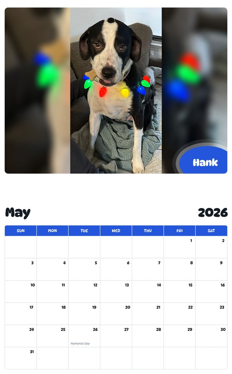 2026 - 2027 Hank - Pawidols Pet Calendar