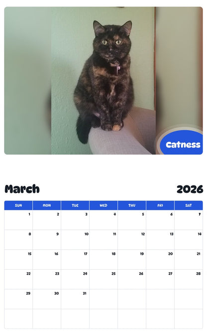 November 2025 - October 2026 Catness - Pawidols Pet Calendar