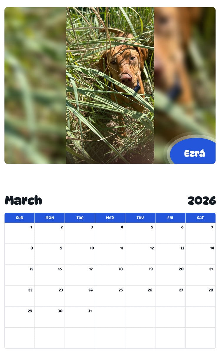 November 2025 - October 2026 Ezrá - Pawidols Pet Calendar
