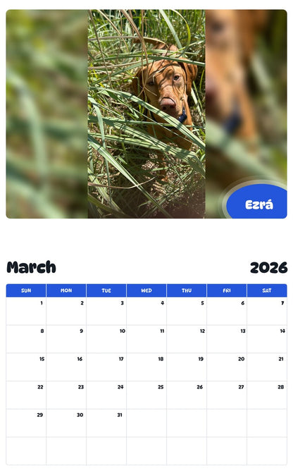 November 2025 - October 2026 Ezrá - Pawidols Pet Calendar