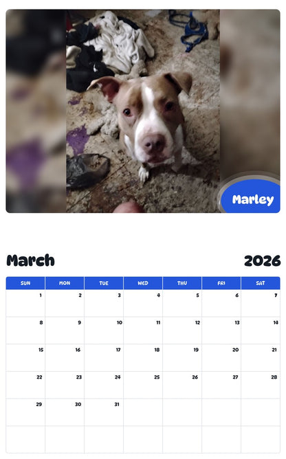 November 2025 - October 2026 Marley - Pawidols Pet Calendar