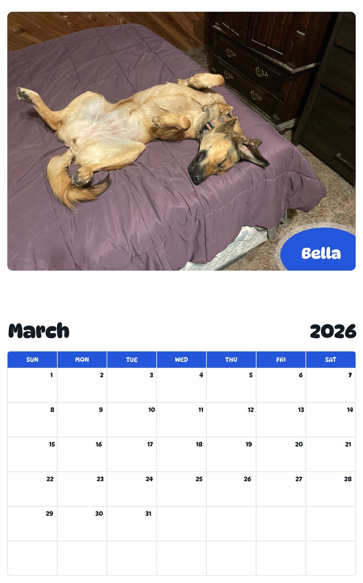November 2025 - October 2026 Bella - Pawidols Pet Calendar