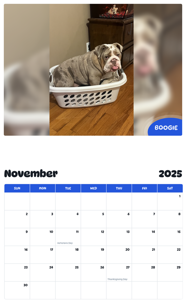 July 2025 - June 2026 Boogie - Pawidols Pet Calendar