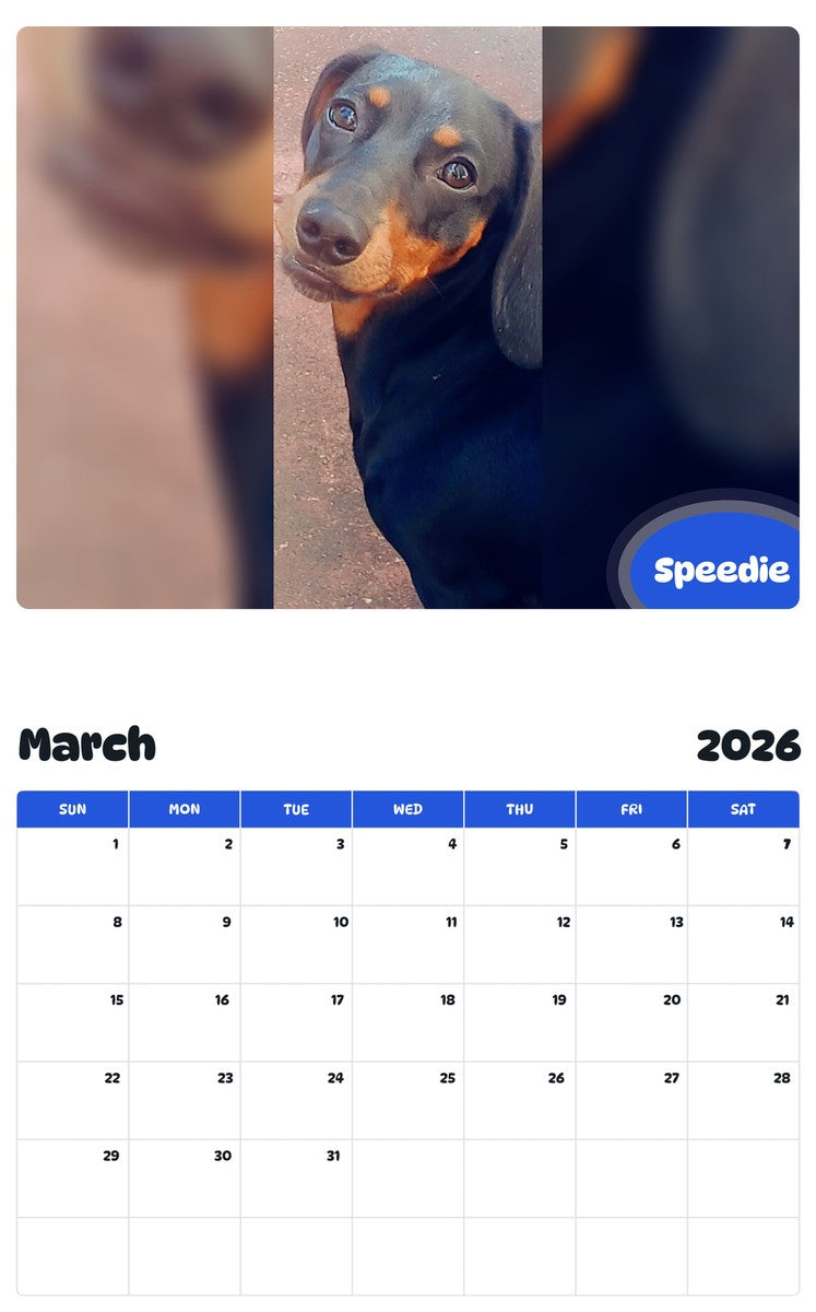 November 2025 - October 2026 Speedie - Pawidols Pet Calendar