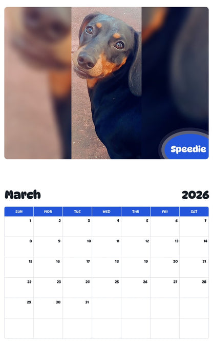 November 2025 - October 2026 Speedie - Pawidols Pet Calendar
