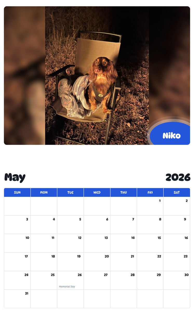 2026 - 2027 Niko - Pawidols Pet Calendar