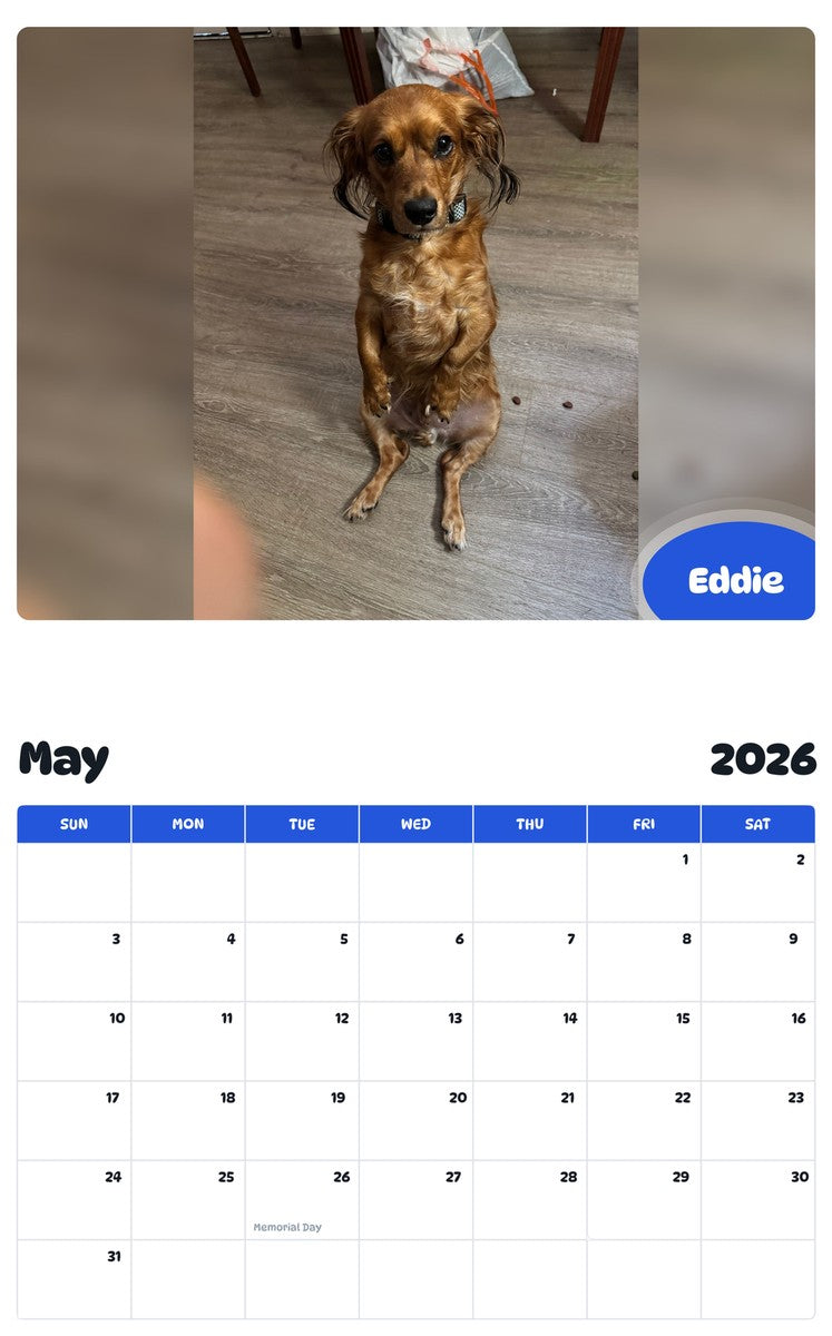 2026 - 2027 Eddie - Pawidols Pet Calendar
