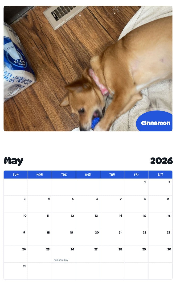 2026 - 2027 Cinnamon - Pawidols Pet Calendar