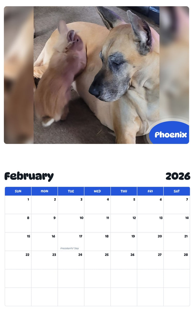 October 2025 - September 2026 Phoenix - Pawidols Pet Calendar