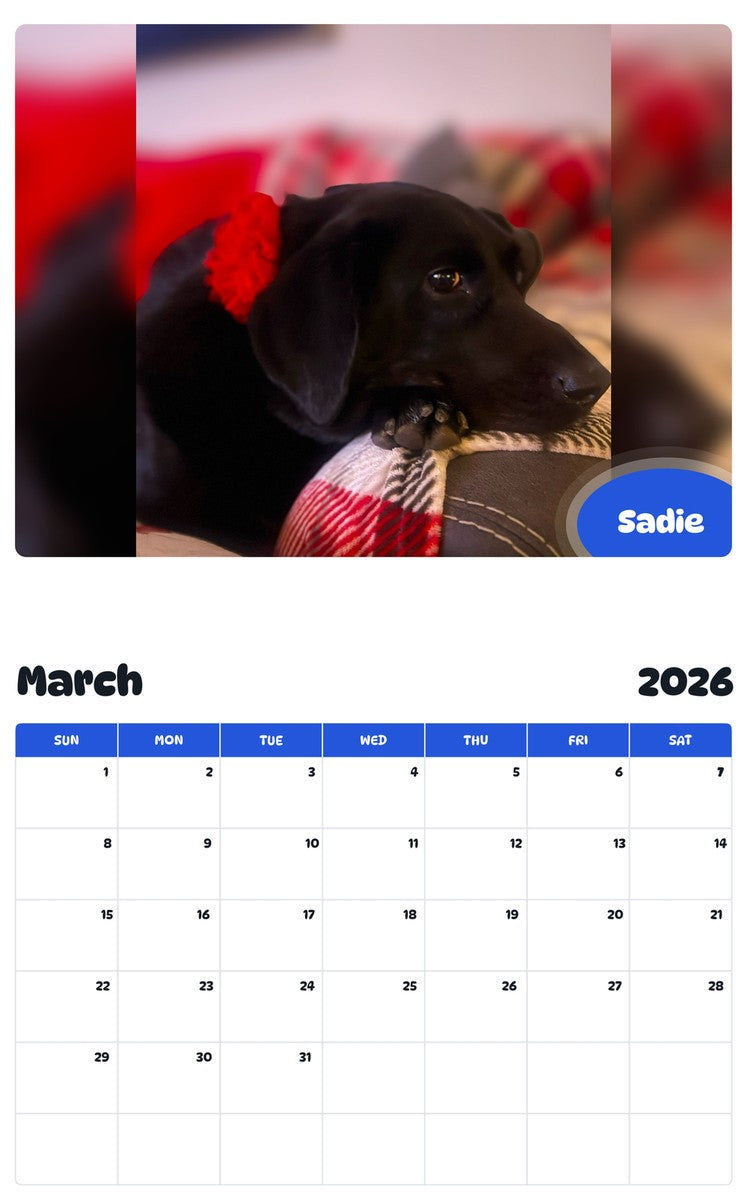 November 2025 - October 2026 Sadie - Pawidols Pet Calendar