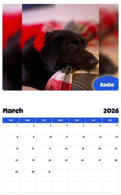 November 2025 - October 2026 Sadie - Pawidols Pet Calendar