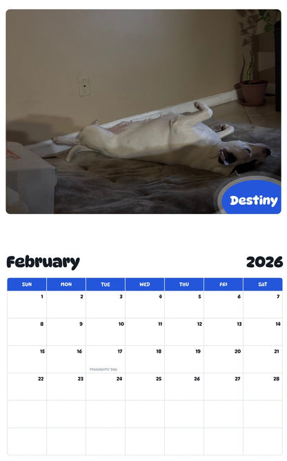 October 2025 - September 2026 Destiny - Pawidols Pet Calendar