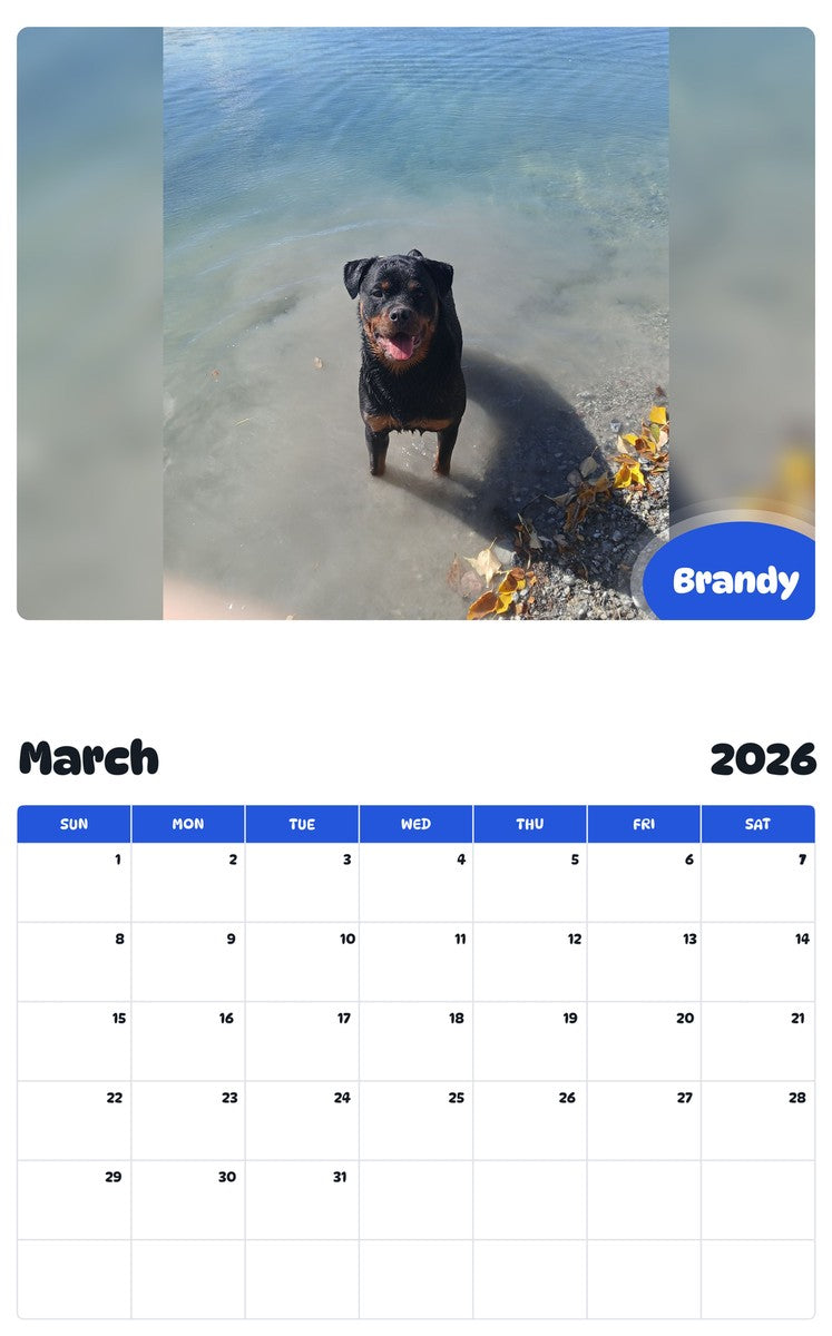 November 2025 - October 2026 Brandy - Pawidols Pet Calendar