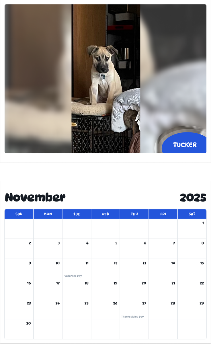 July 2025 - June 2026 Tucker - Pawidols Pet Calendar