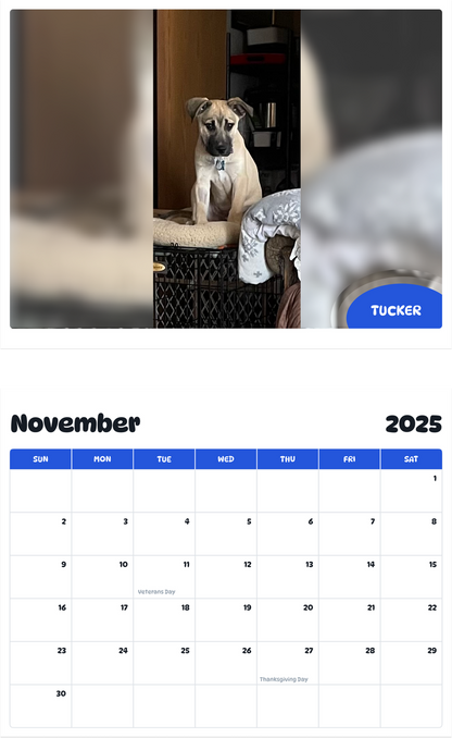 July 2025 - June 2026 Tucker - Pawidols Pet Calendar