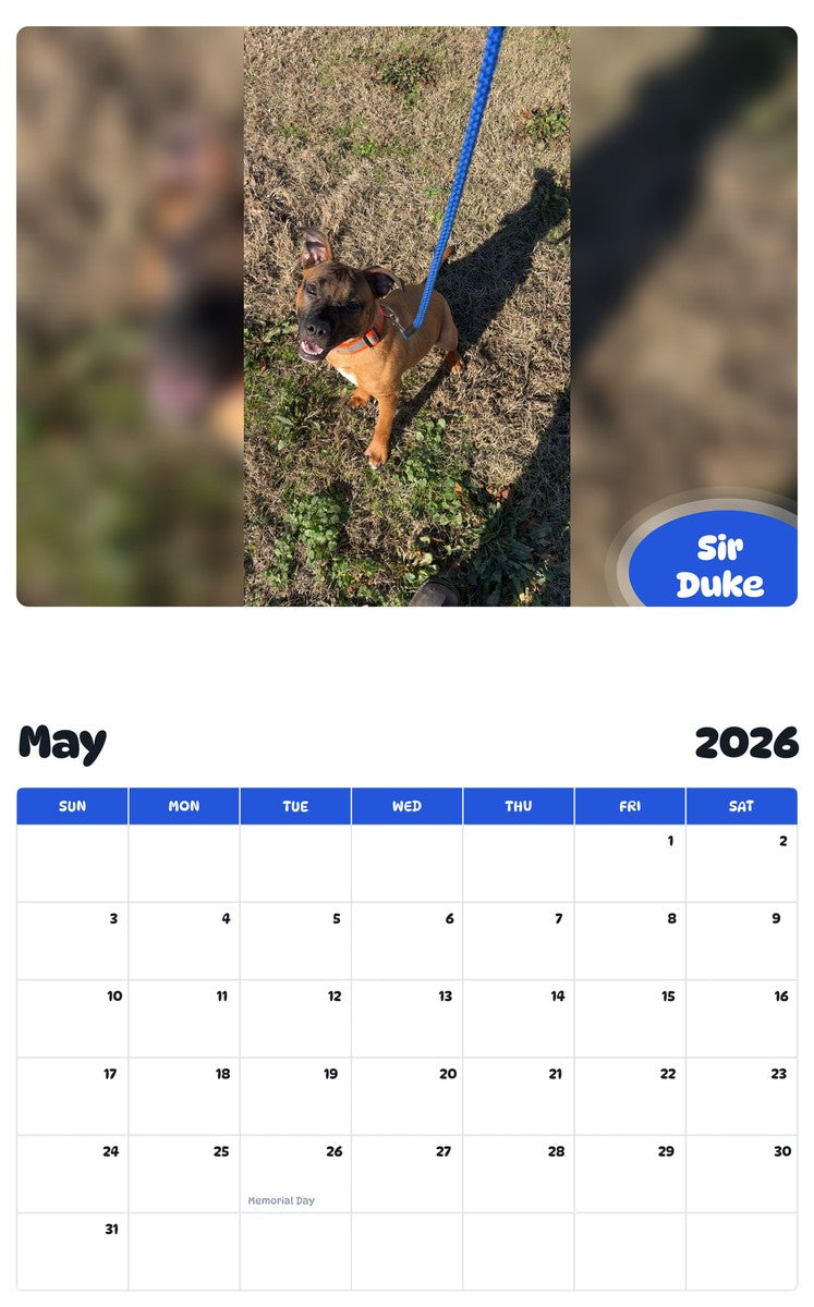 2026 - 2027 Sir Duke - Pawidols Pet Calendar