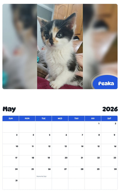 2026 - 2027 Peaka - Pawidols Pet Calendar