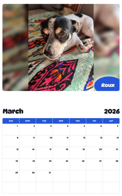 November 2025 - October 2026 Roux - Pawidols Pet Calendar