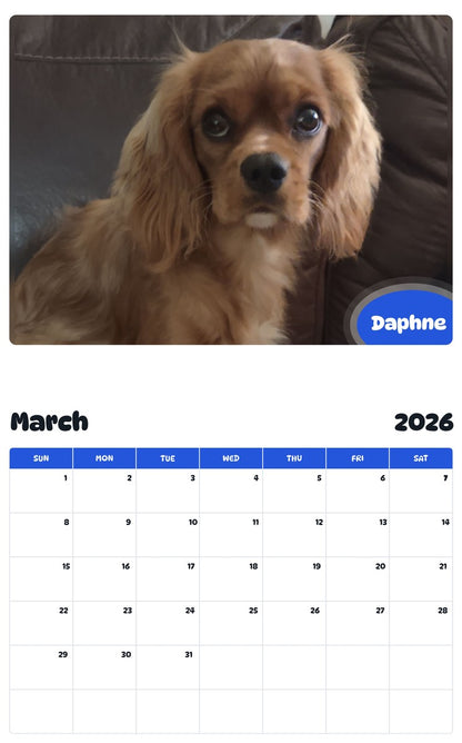 November 2025 - October 2026 Daphne - Pawidols Pet Calendar