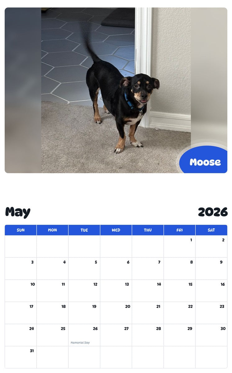 2026 - 2027 Moose - Pawidols Pet Calendar