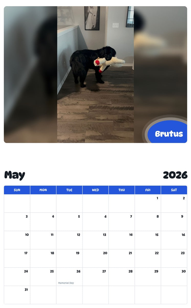 2026 - 2027 Brutus - Pawidols Pet Calendar