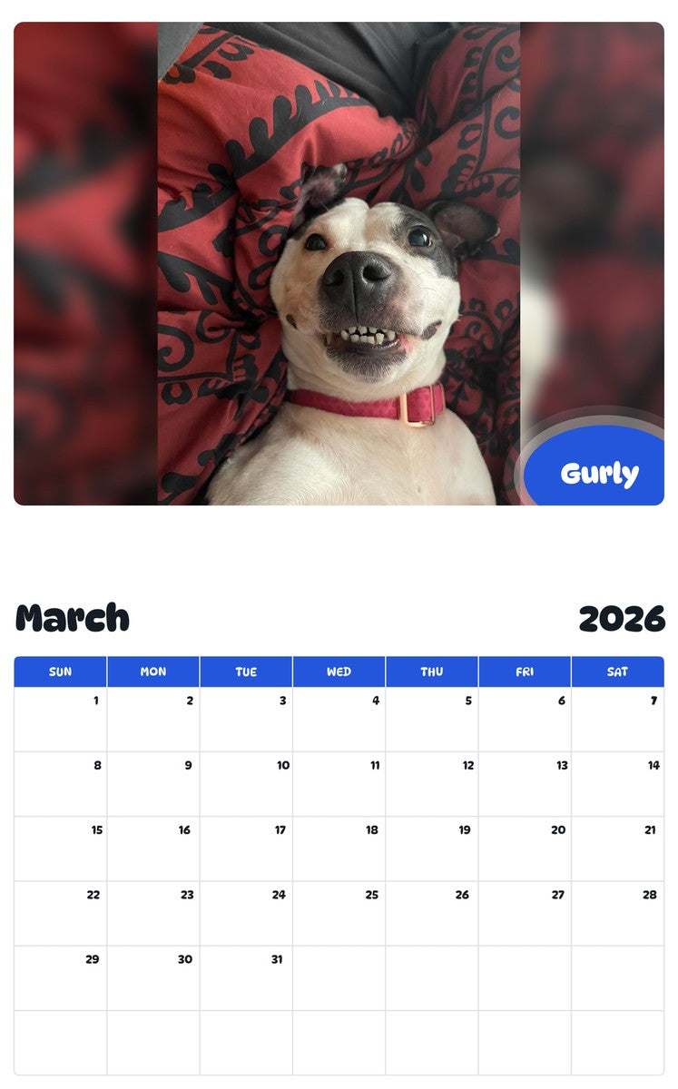 November 2025 - October 2026 Gurly - Pawidols Pet Calendar